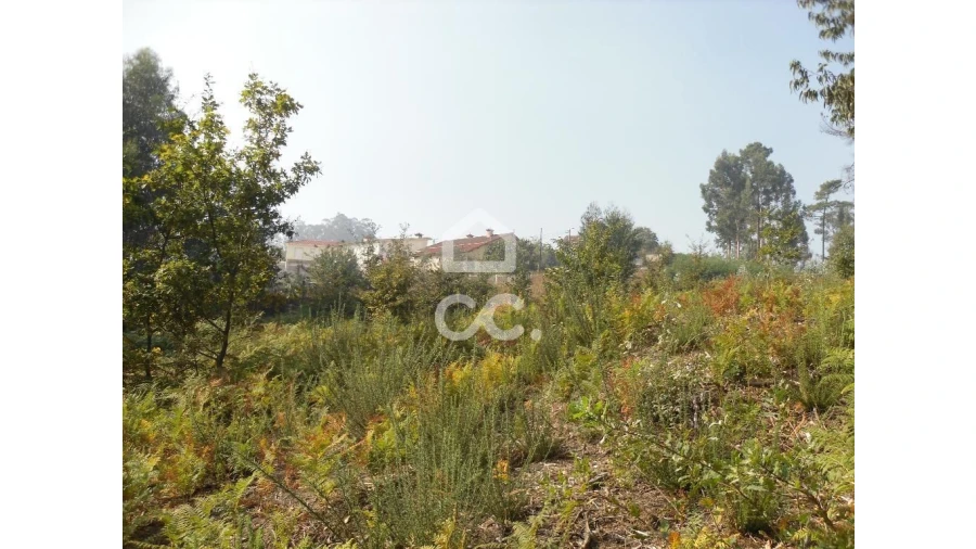 Terreno para Venda em Oliveira, São Paio e São Sebastião Foto 2