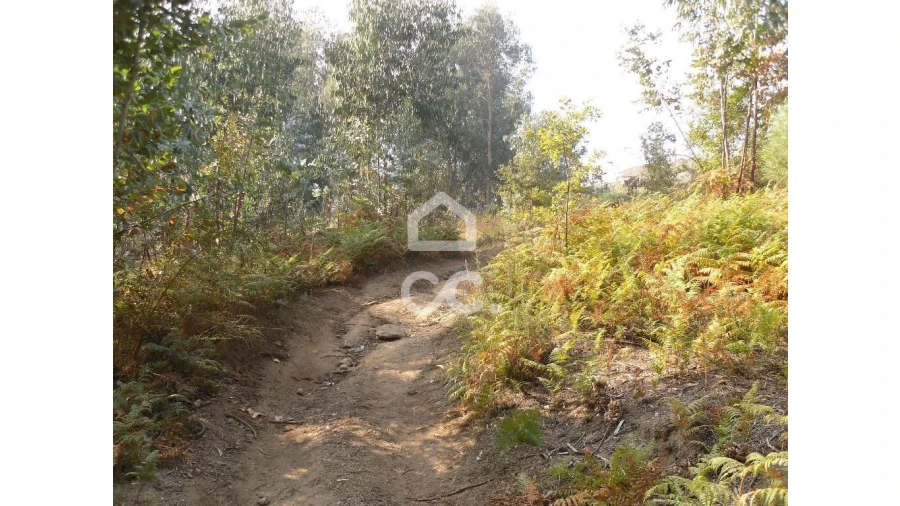 Terreno para Venda em Oliveira, São Paio e São Sebastião Foto 3