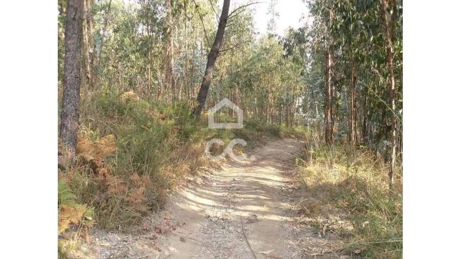 Terreno para Venda em Oliveira, São Paio e São Sebastião Foto 5