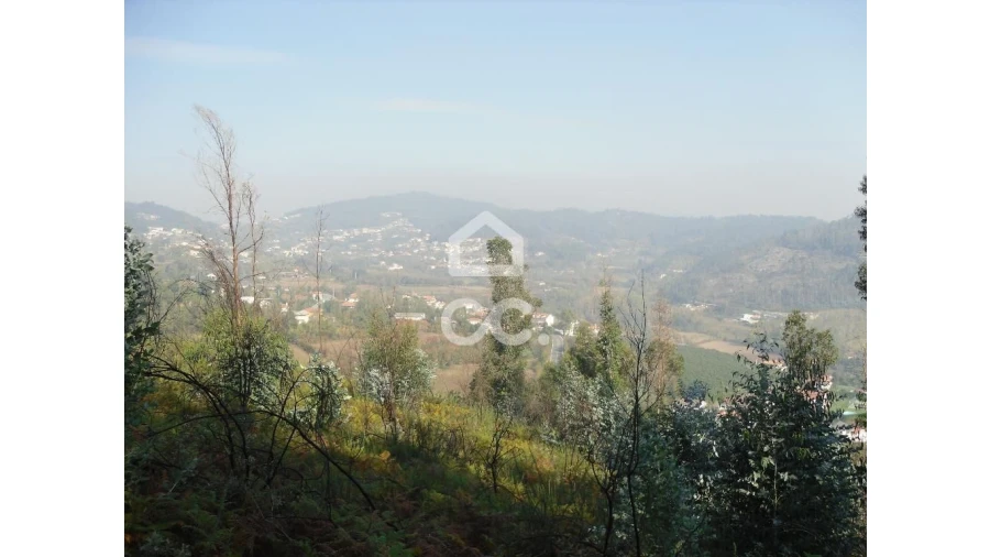 Terreno para Venda em Oliveira, São Paio e São Sebastião Foto 18