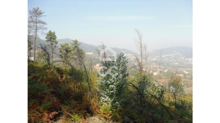 Terreno para Venda em Oliveira, São Paio e São Sebastião Foto 19