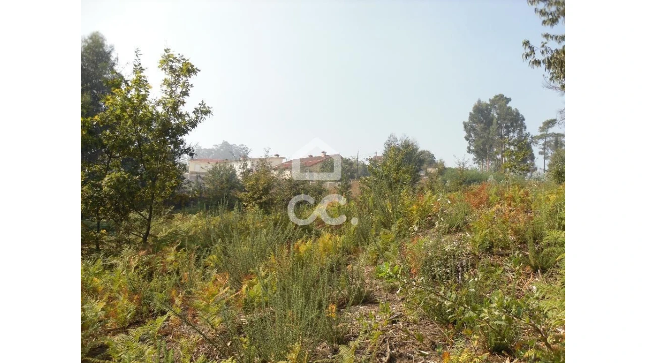 Terreno para Venda em Oliveira, São Paio e São Sebastião Foto 2