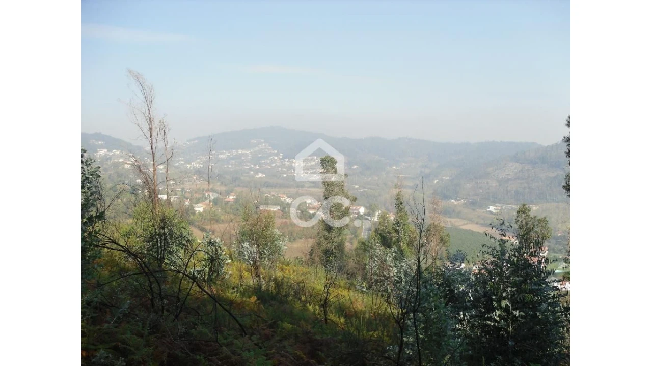 Terreno para Venda em Oliveira, São Paio e São Sebastião Foto 18