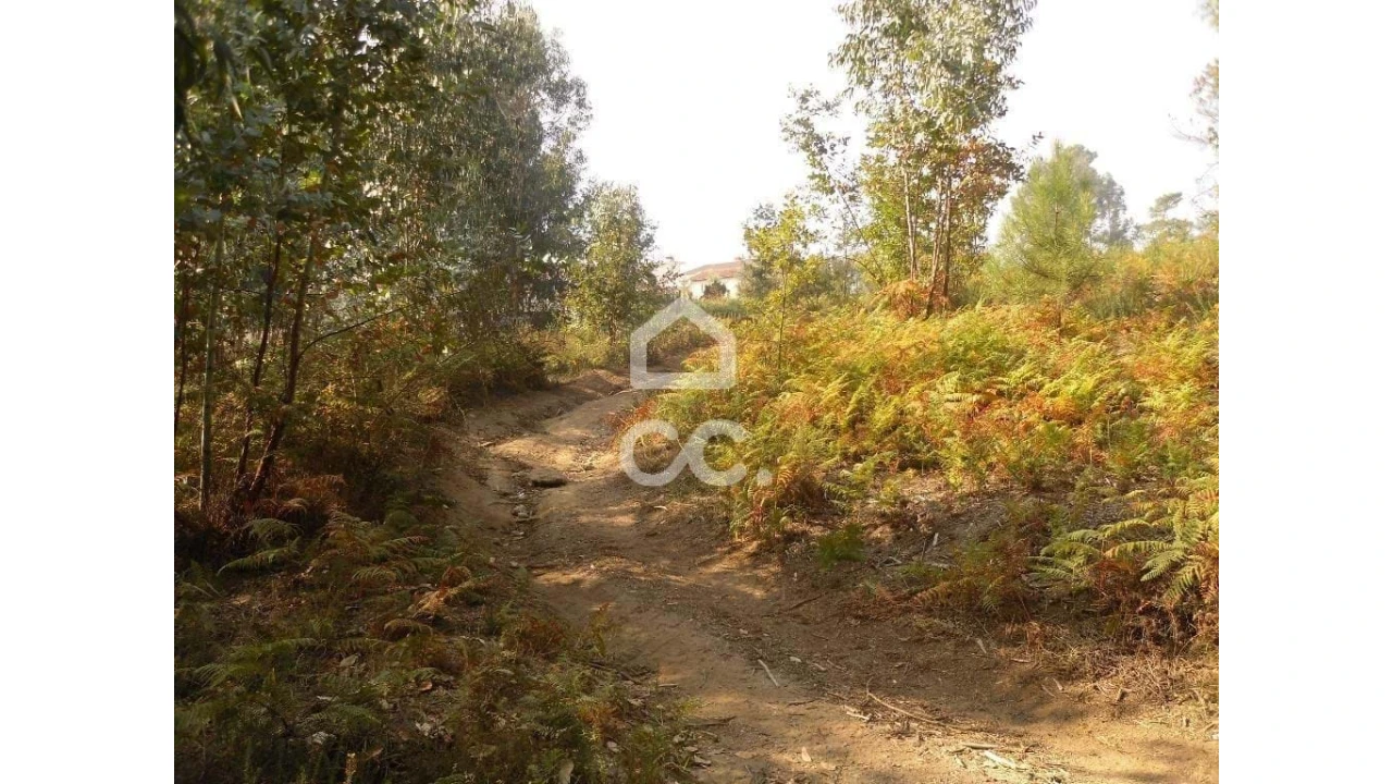 Terreno para Venda em Oliveira, São Paio e São Sebastião Foto 6