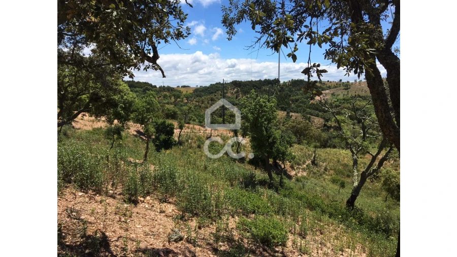 Terreno para Venda em Porto Covo Foto 4
