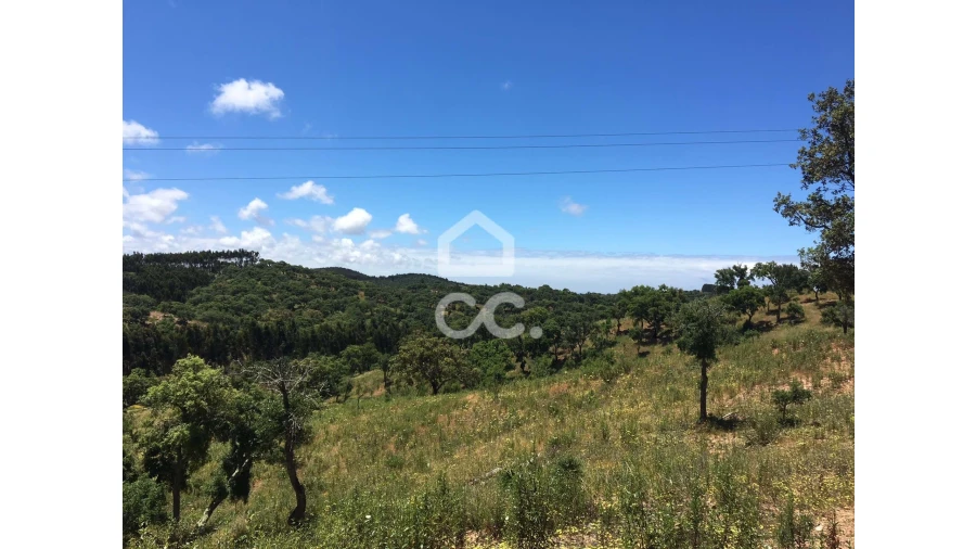 Terreno para Venda em Porto Covo Foto 5