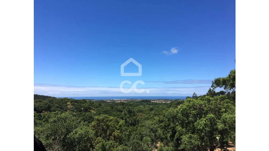 Terreno para Venda em Porto Covo Foto 3