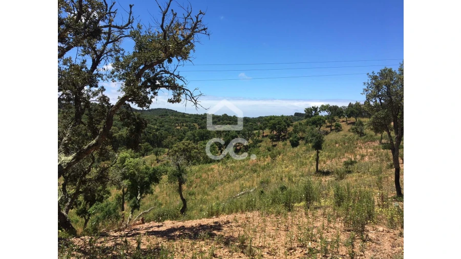 Terreno para Venda em Porto Covo Foto 6