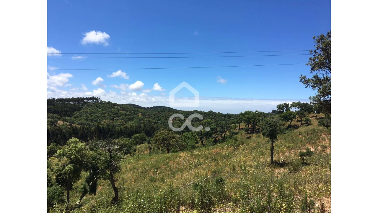 Terreno para Venda em Porto Covo Foto 5