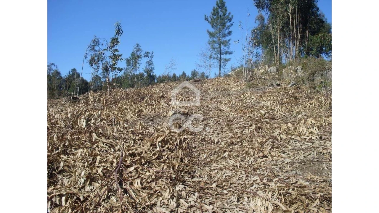 Terreno para Venda em Lordelo Foto 4