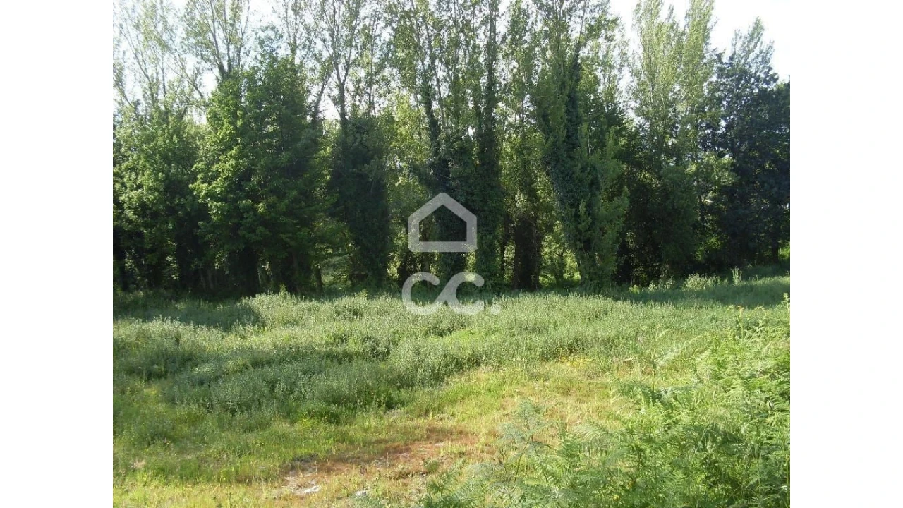 Terreno para Venda em Oliveira, São Paio e São Sebastião Foto 6
