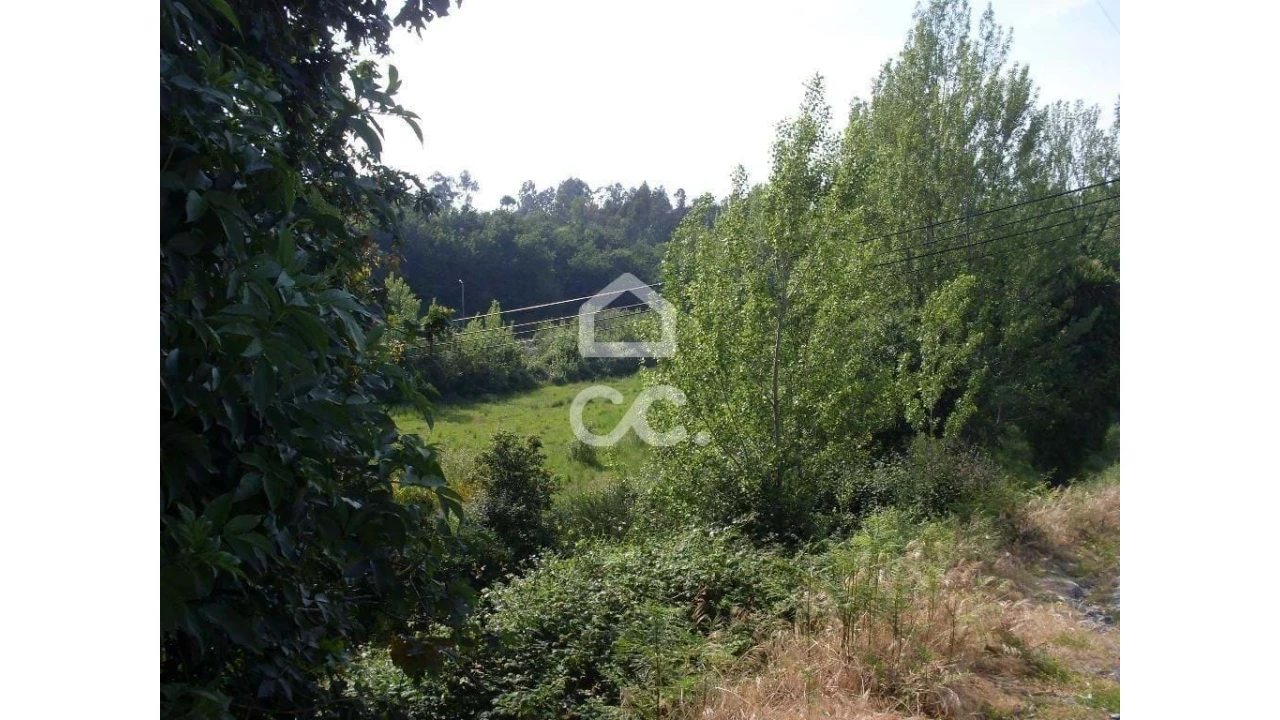 Terreno para Venda em Oliveira, São Paio e São Sebastião Foto 2
