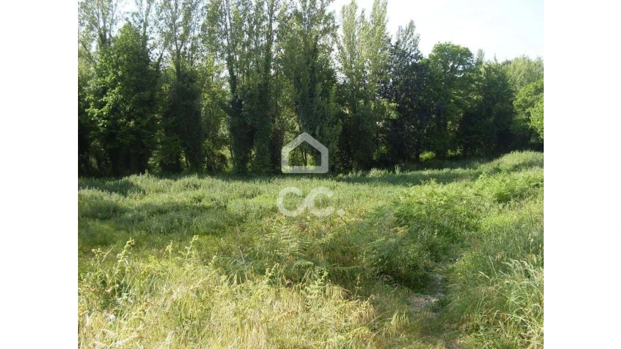 Terreno para Venda em Oliveira, São Paio e São Sebastião Foto 4