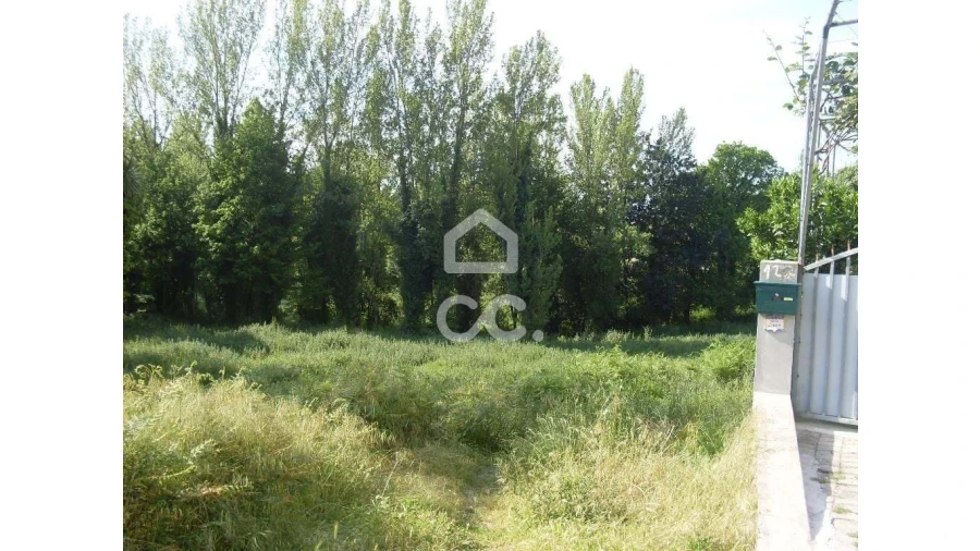 Terreno para Venda em Oliveira, São Paio e São Sebastião Foto 7