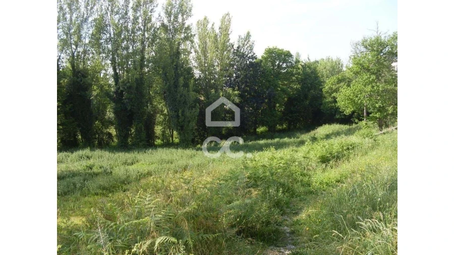 Terreno para Venda em Oliveira, São Paio e São Sebastião Foto 5