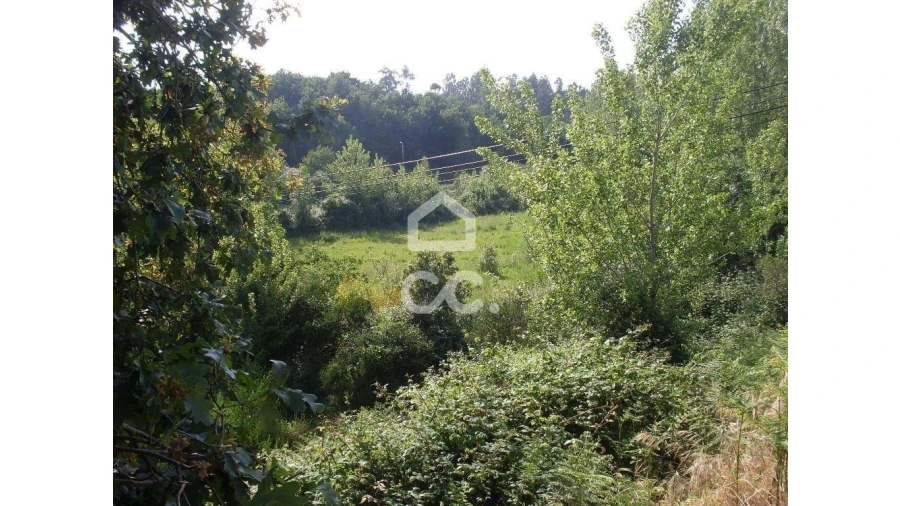 Terreno para Venda em Oliveira, São Paio e São Sebastião Foto 3