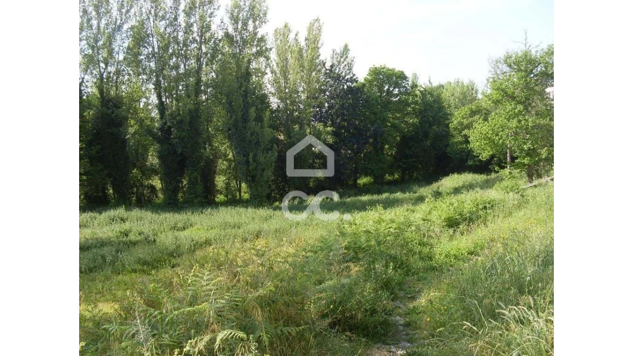 Terreno para Venda em Oliveira, São Paio e São Sebastião Foto 5