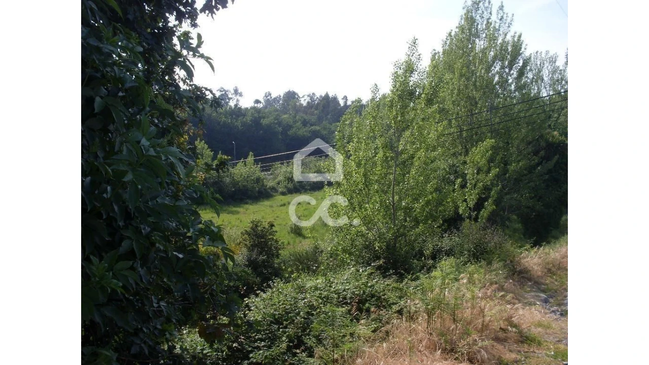 Terreno para Venda em Oliveira, São Paio e São Sebastião Foto 2