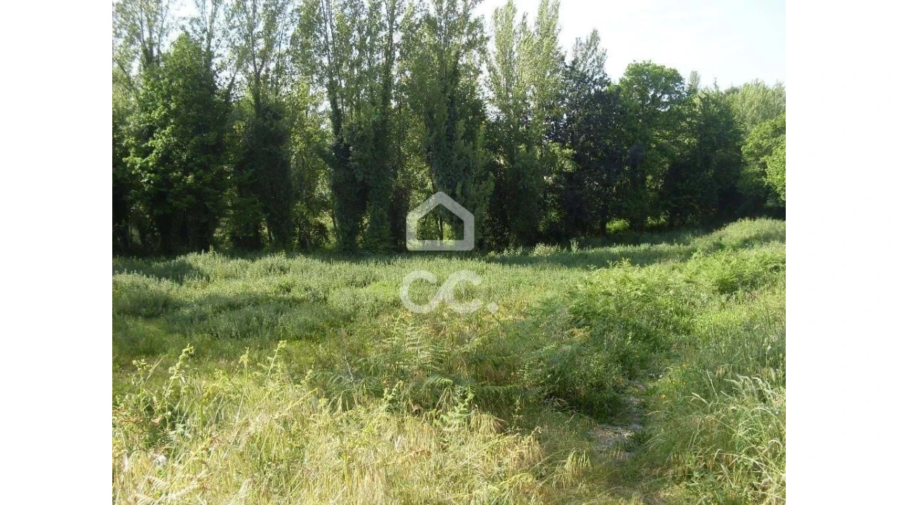 Terreno para Venda em Oliveira, São Paio e São Sebastião Foto 1