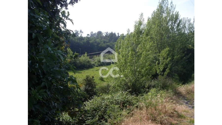 Terreno para Venda em Oliveira, São Paio e São Sebastião Foto 2