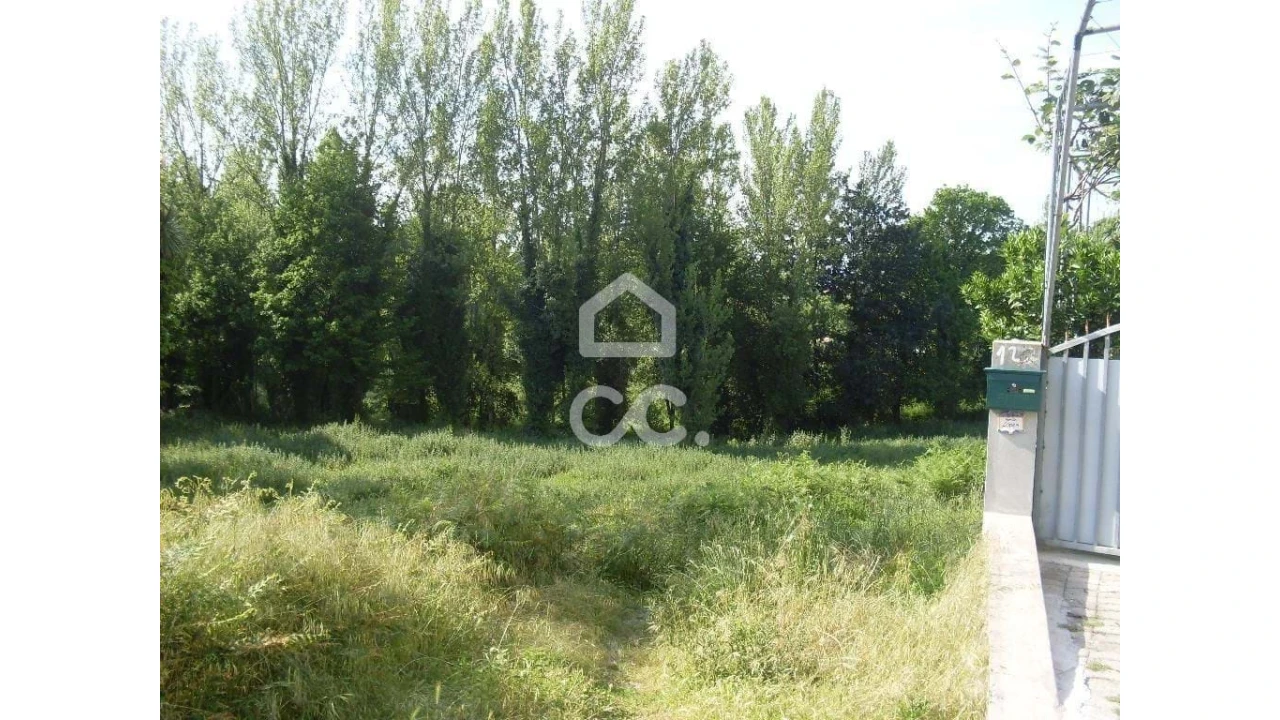 Terreno para Venda em Oliveira, São Paio e São Sebastião Foto 7