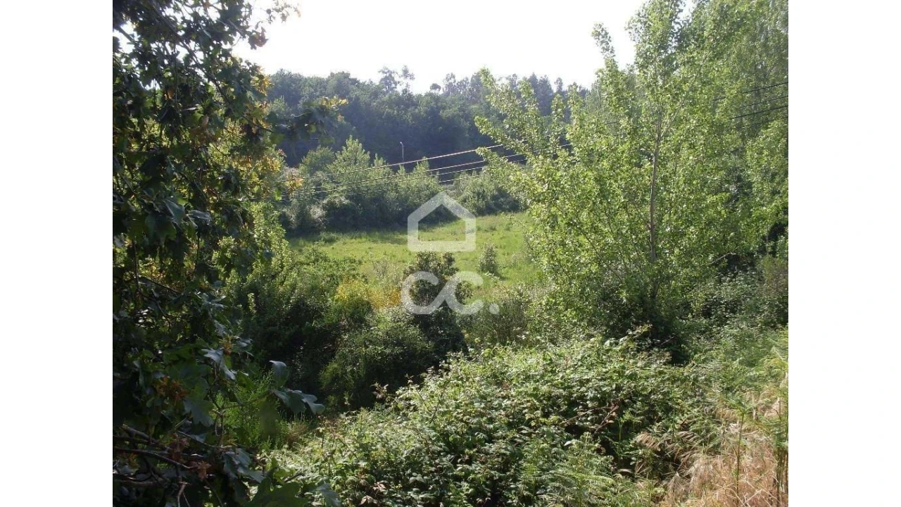 Terreno para Venda em Oliveira, São Paio e São Sebastião Foto 3