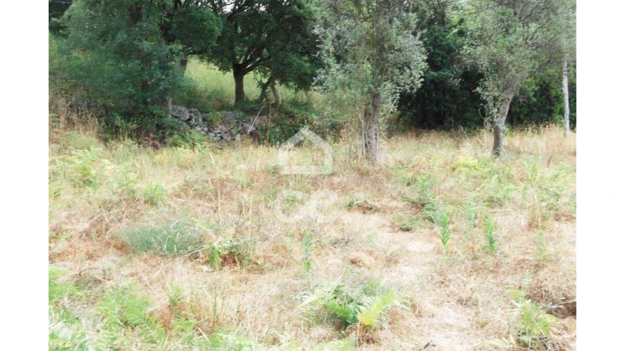 Terreno para Venda em Urgezes Foto 6