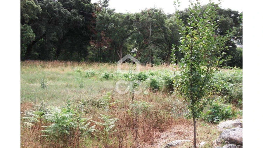 Terreno para Venda em Urgezes Foto 2