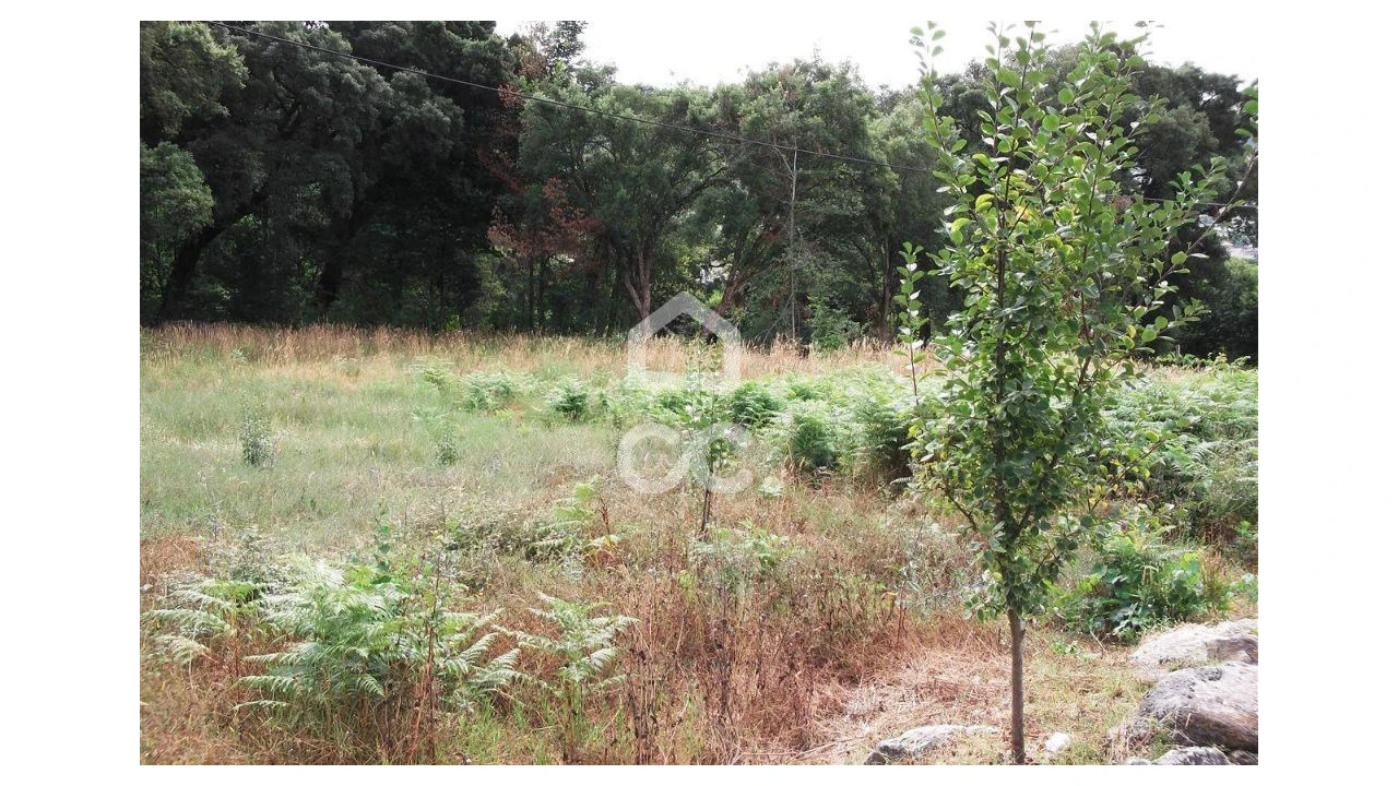 Terreno para Venda em Urgezes Foto 2