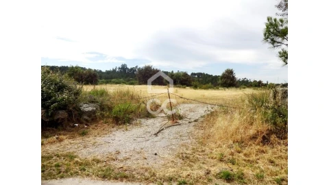 Terreno para Venda em Repeses e São Salvador