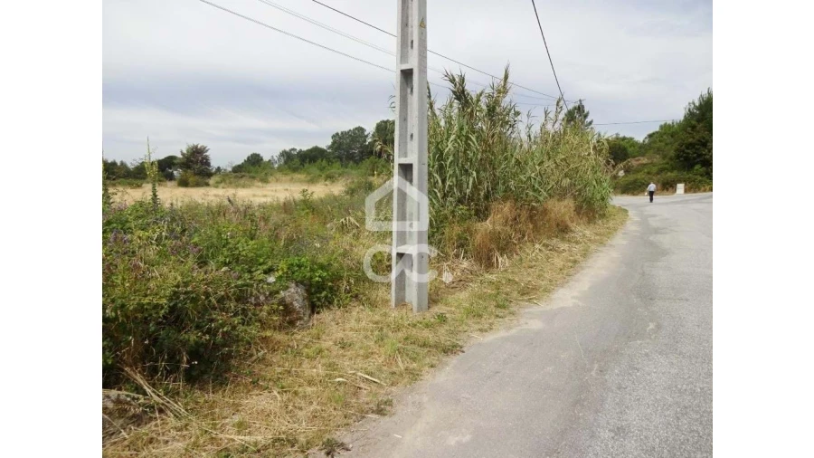 Terreno para Venda em Repeses e São Salvador Foto 5