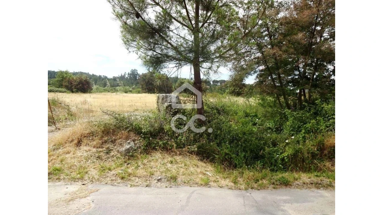 Terreno para Venda em Repeses e São Salvador Foto 7