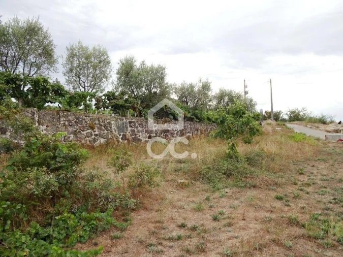 Terreno para Venda em Povolide Foto 2