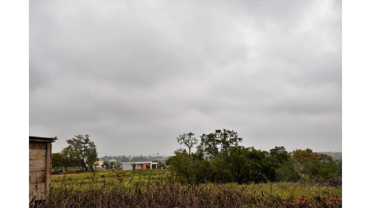 Quinta para Venda em Guia Foto 8