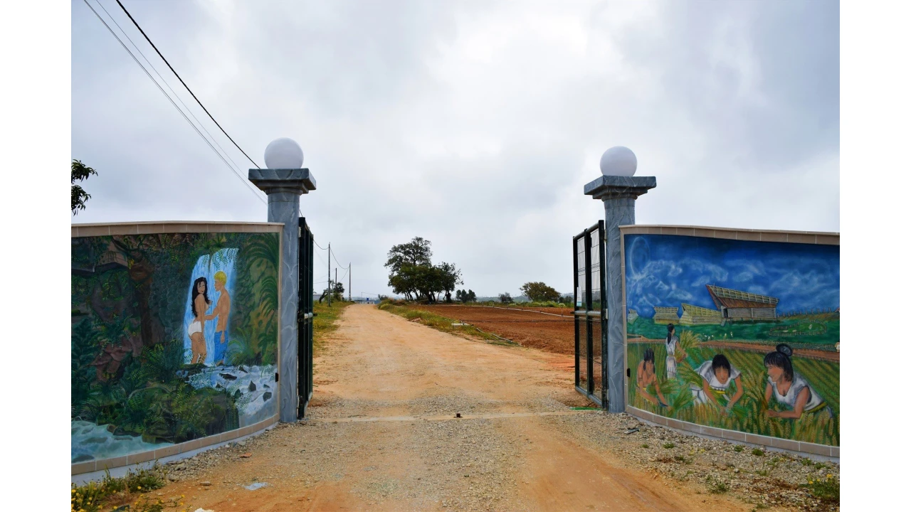 Quinta para Venda em Guia Foto 12