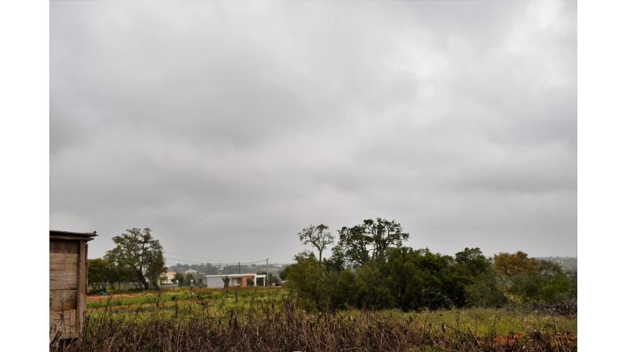 Quinta para Venda em Guia Foto 8