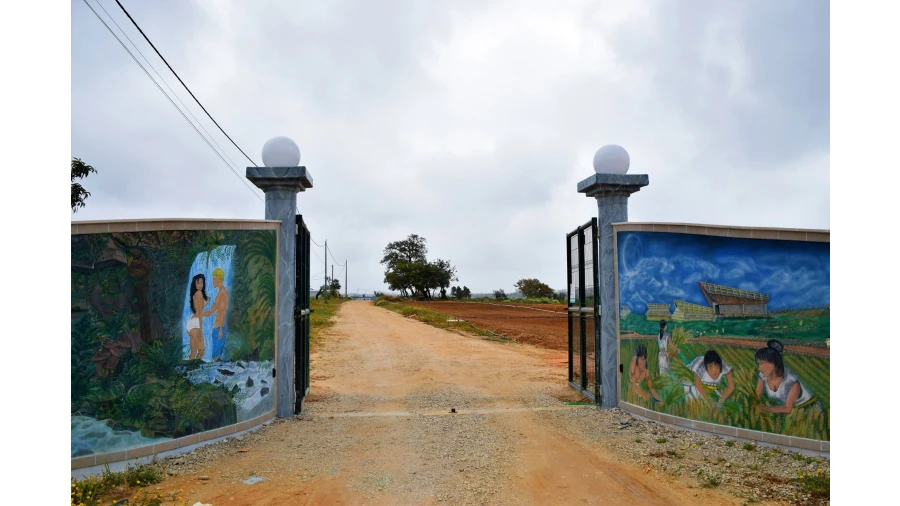 Quinta para Venda em Guia Foto 12