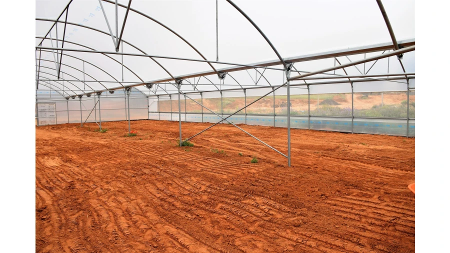 Quinta para Venda em Guia Foto 3