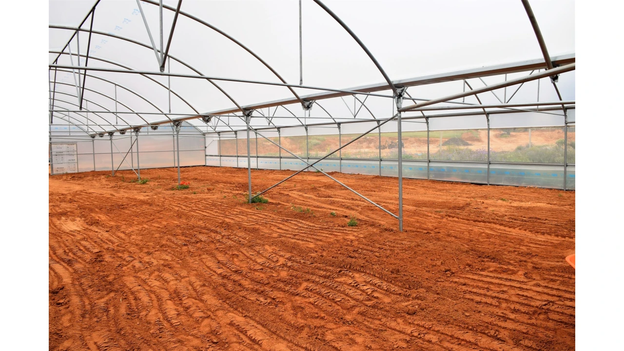 Quinta para Venda em Guia Foto 3