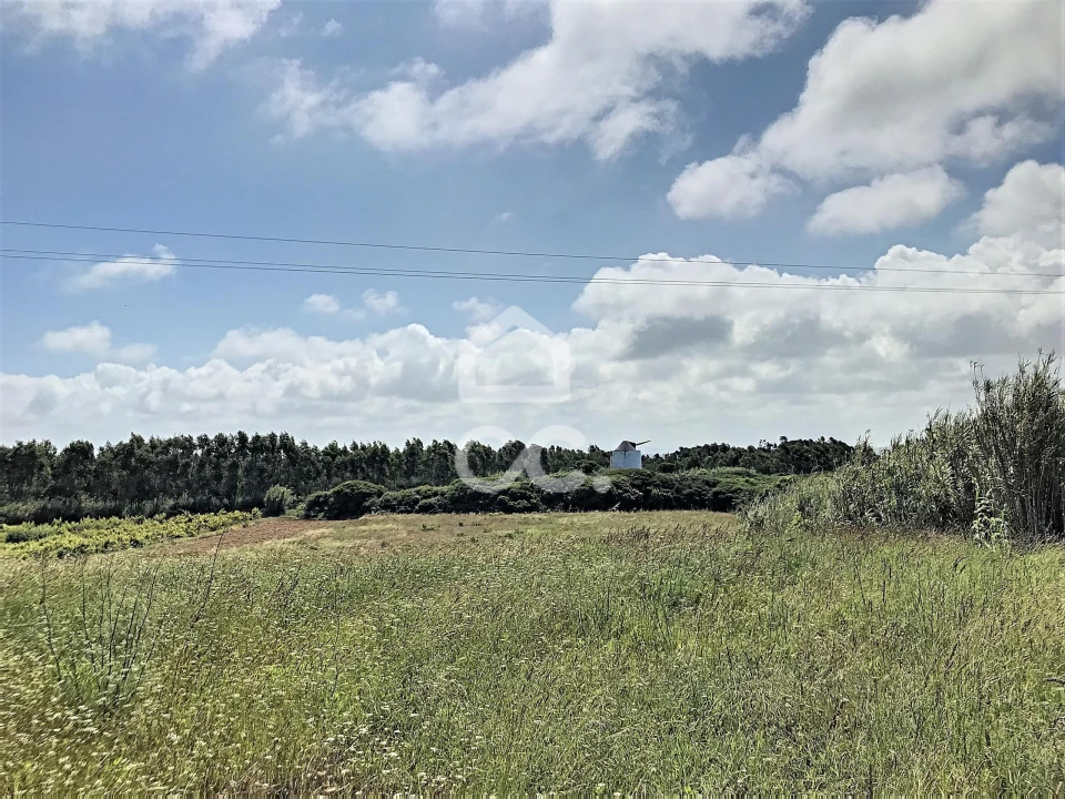 Terreno para Venda em Caldas da Rainha - Santo Onofre e Serra do Bouro Foto 4