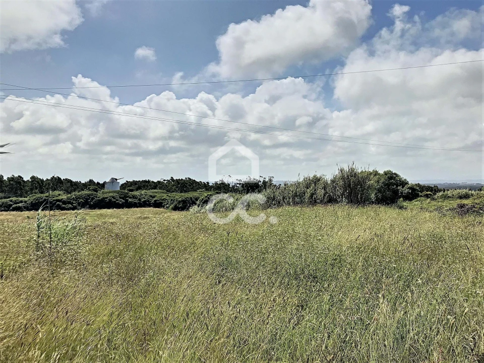 Terreno para Venda em Caldas da Rainha - Santo Onofre e Serra do Bouro Foto 5