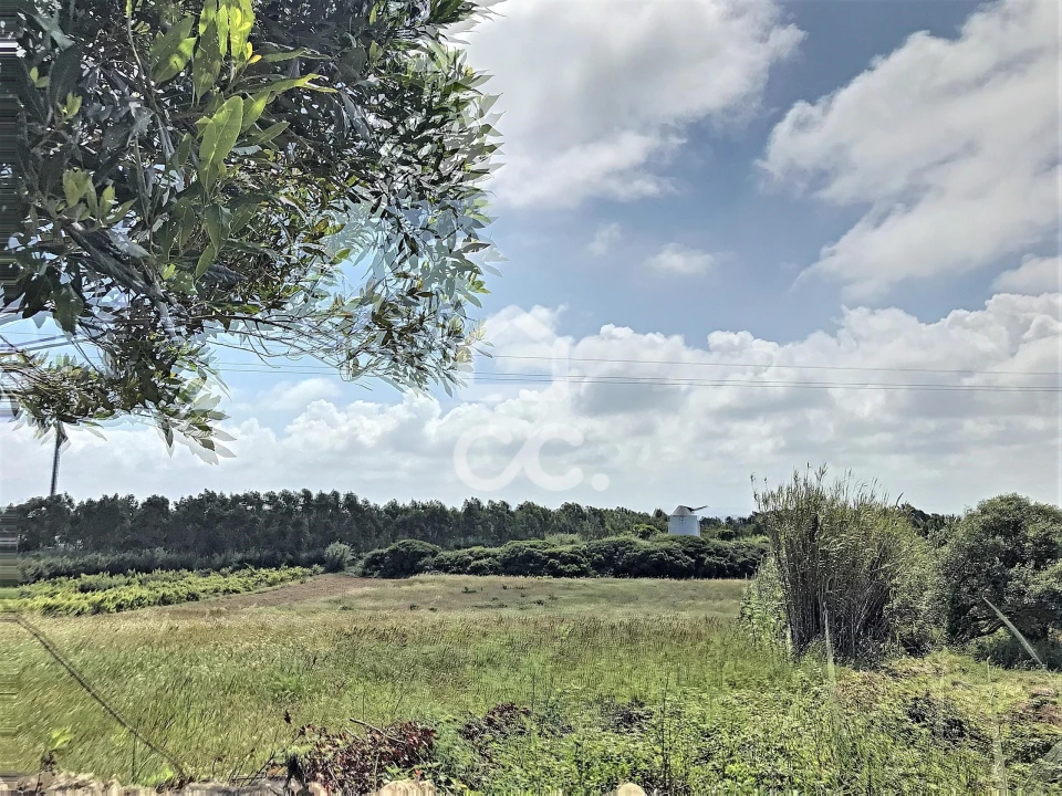 Terreno para Venda em Caldas da Rainha - Santo Onofre e Serra do Bouro Foto 3
