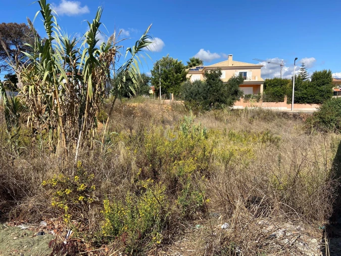 Terreno para Venda em Cascais e Estoril Foto 1