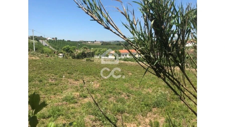 Terreno para Venda em Peral Foto 2