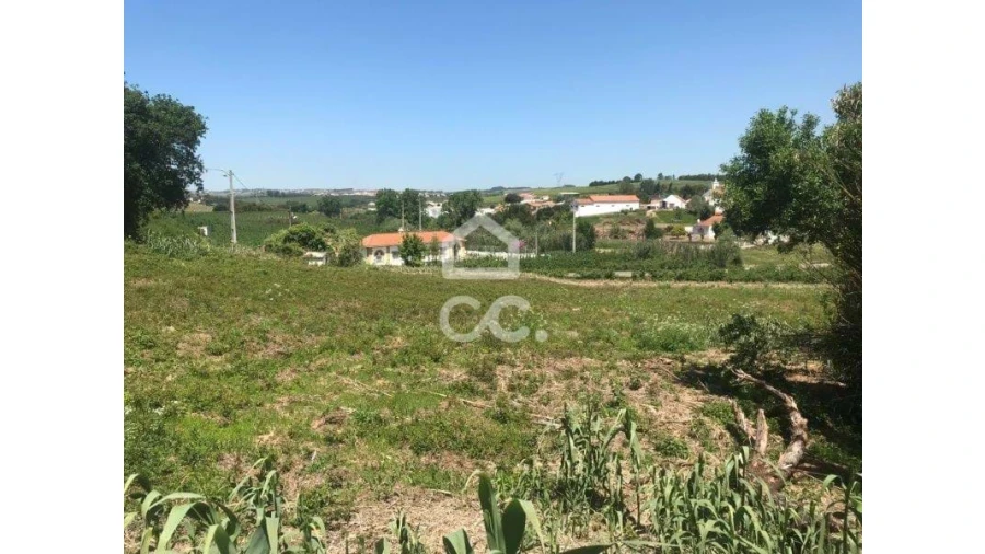 Terreno para Venda em Peral Foto 5