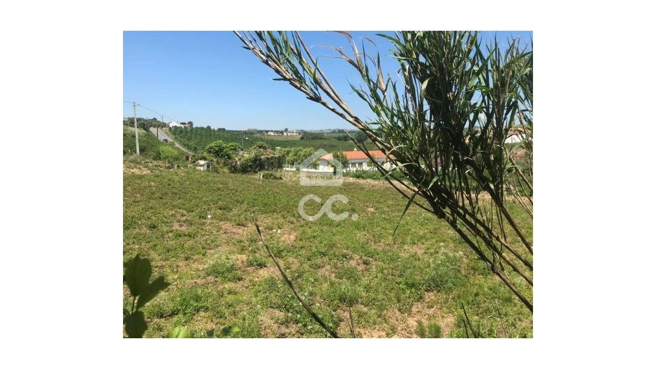 Terreno para Venda em Peral Foto 2