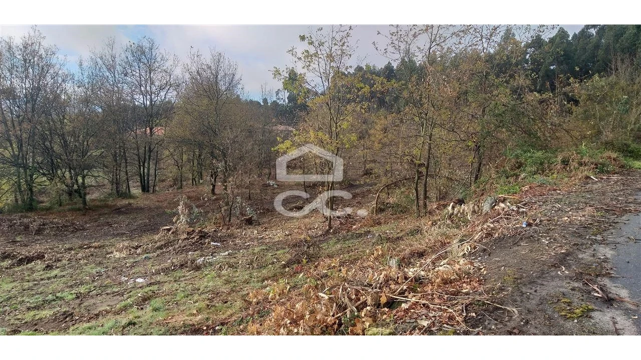 Terreno para Venda em Oliveira (Santa Maria) Foto 5