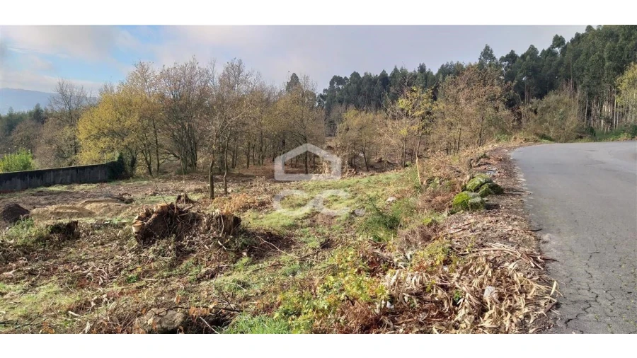 Terreno para Venda em Oliveira (Santa Maria) Foto 4