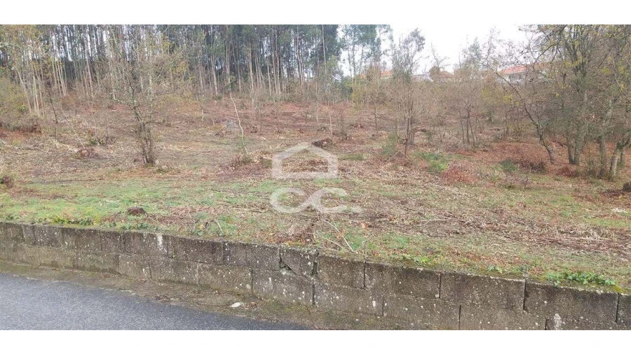 Terreno para Venda em Oliveira (Santa Maria) Foto 6