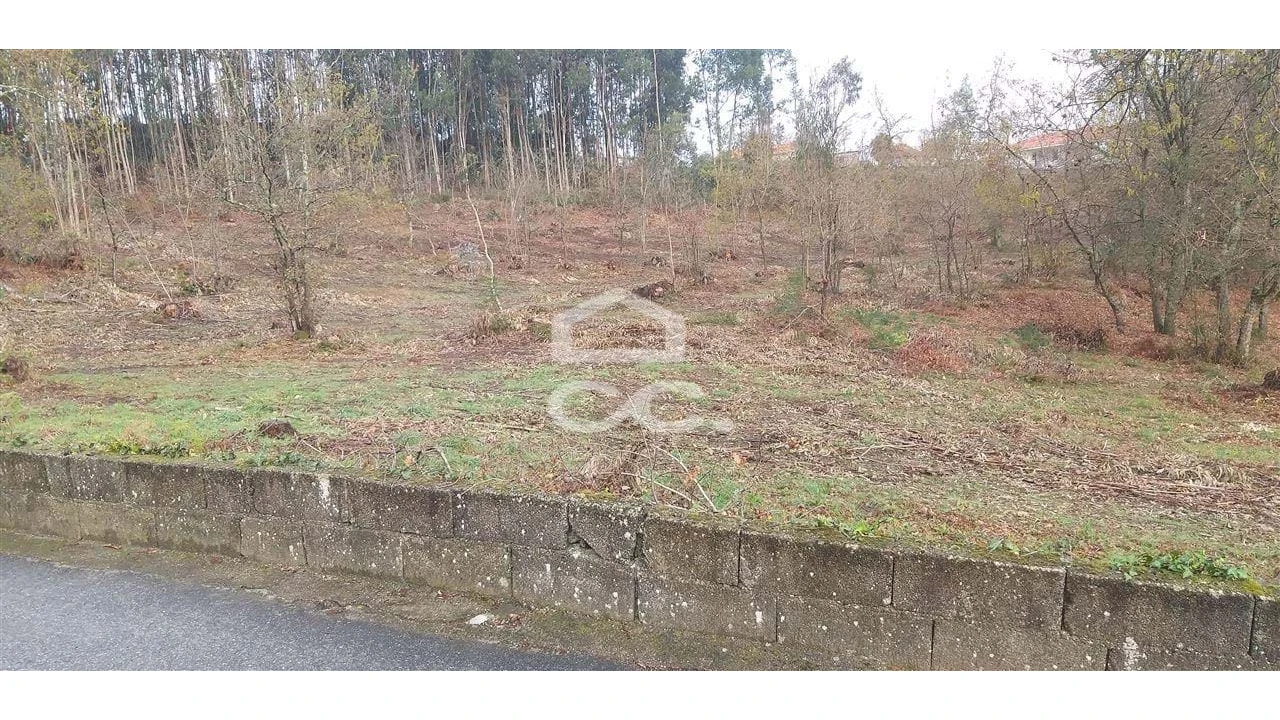 Terreno para Venda em Oliveira (Santa Maria) Foto 6